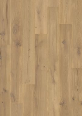 PAL3886 - QUICKSTEP PALAZZO SUMMER OAK EXTRA MATT